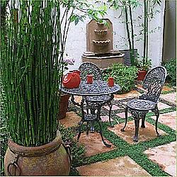 A Typical Spanish Patio