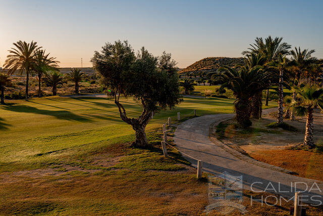 225 Southwest : Off Plan Villa for Sale in Vera, Almería