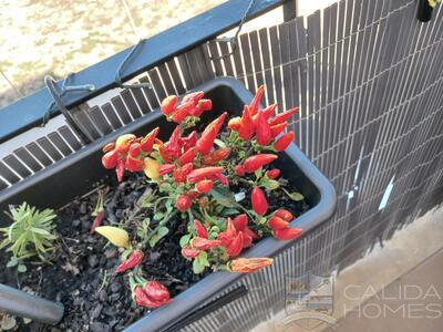 Apartment Salsa : Apartment in Palomares, Almería Apartment Salsa : Apartment in Palomares, Almería