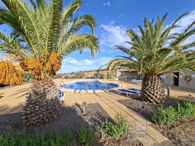 Apartmento Linaria : Apartment for Sale in Vera, Almería