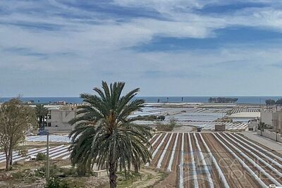 Apartmento Tulip: Apartment in Palomares, Almería
