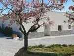 Casa Blossom : Resale Villa for Sale in Oria, Almería