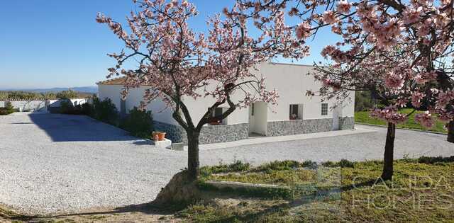 Casa Blossom : Resale Villa for Sale in Oria, Almería