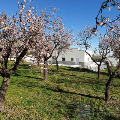 Casa Blossom : Resale Villa in Oria, Almería