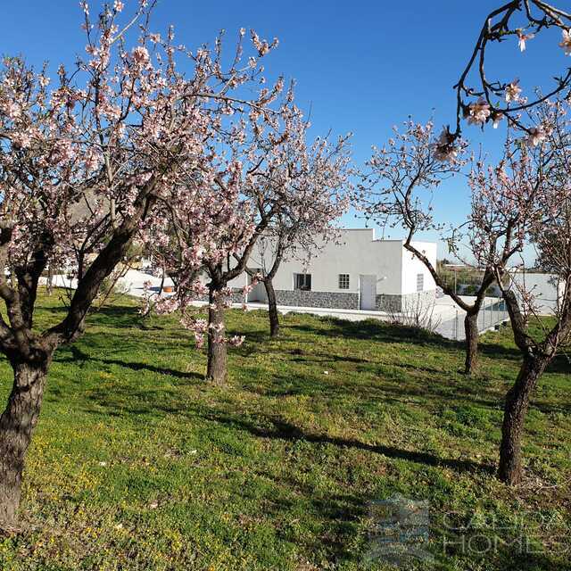 Casa Blossom : Resale Villa for Sale in Oria, Almería