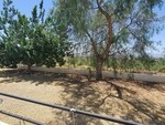 Casa Campo Grande: Detached Character House for Sale in Huercal-Overa, Almería