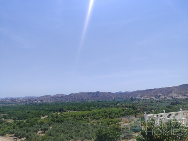 Casa Cinta : Village or Town House for Sale in Arboleas, Almería
