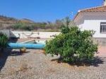 Casa Daffodil: Resale Villa for Sale in Arboleas, Almería