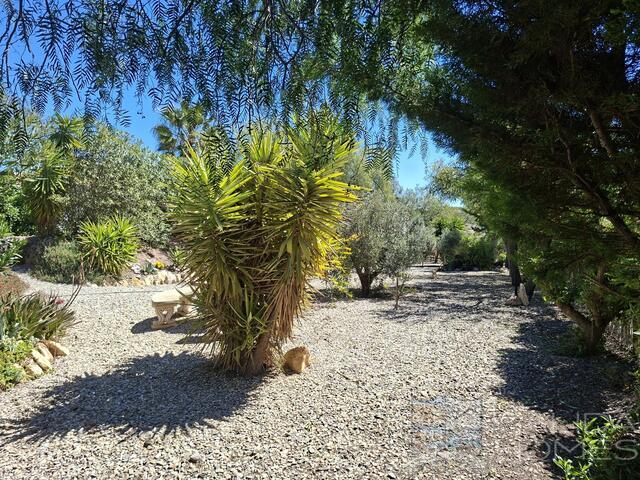 Casa de Sol : Resale Villa for Sale in Arboleas, Almería