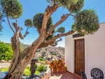 Casa Dove : Detached Character House for Sale in Arroyo Medina, Almería