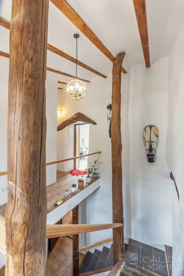 Casa Dove : Detached Character House for Sale in Arroyo Medina, Almería