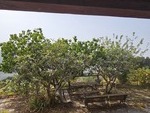 Casa Goldi: Detached Character House for Sale in Sierro, Almería