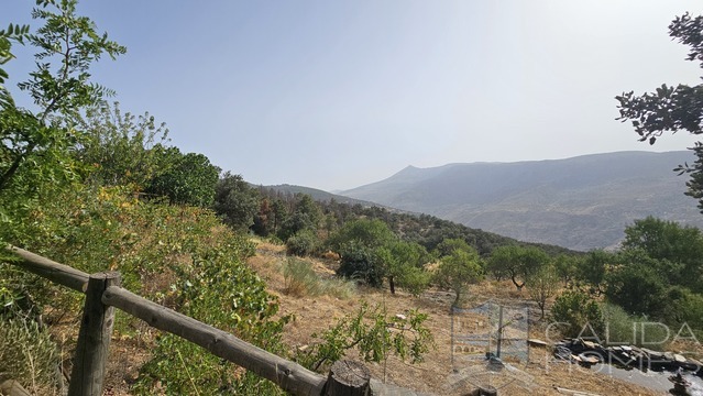 Casa Goldi: Detached Character House for Sale in Sierro, Almería