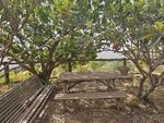 Casa Goldi: Detached Character House for Sale in Sierro, Almería