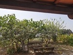 Casa Goldi: Detached Character House for Sale in Sierro, Almería
