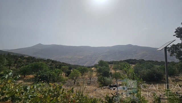 Casa Goldi: Detached Character House for Sale in Sierro, Almería