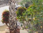Casa Jen: Detached Character House for Sale in Oria, Almería