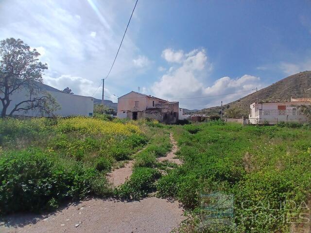 Casa Meadow: Village or Town House for Sale in Cantoria, Almería