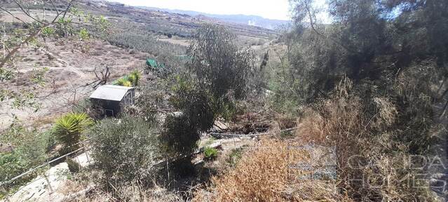 Casa Molata: Village or Town House for Sale in Albox, Almería