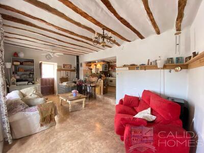 Casa Privado: Detached Character House in Almanzora, Almería