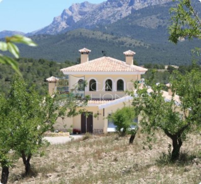 cla7194: Villa sur plan à vendre dans Lorca, Murcia