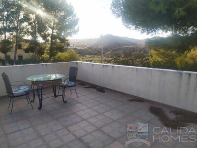 Cortijo Splendido : Detached Character House in Arboleas, Almería