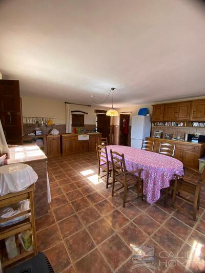 Cortijo Arbol: Detached Character House in Oria, Almería