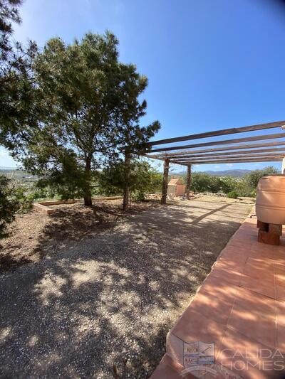 Cortijo Arbol: Detached Character House in Oria, Almería