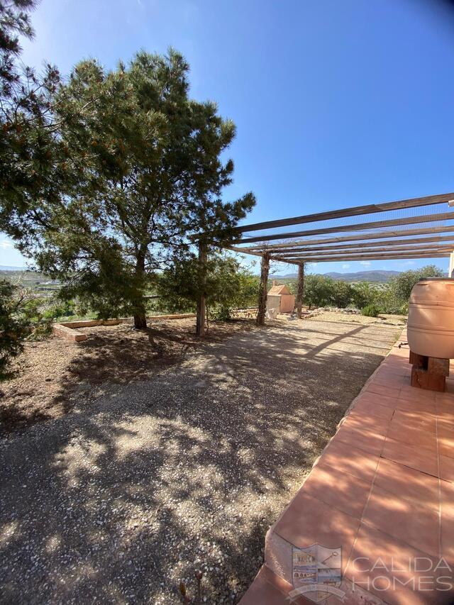 Cortijo Arbol: Detached Character House for Sale in Oria, Almería