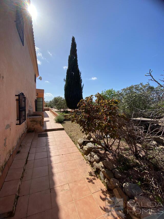 Cortijo Arbol: Detached Character House for Sale in Oria, Almería