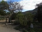 Cortijo Catica: Detached Character House in Albox, Almería