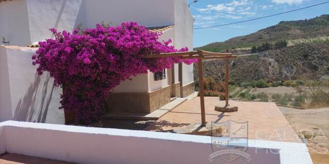 Cortijo Encantador: Dorp of Stadshuis te Koop in Arboleas, Almería