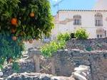 Cortijo Meadow: Terraced Country House in Arboleas, Almería