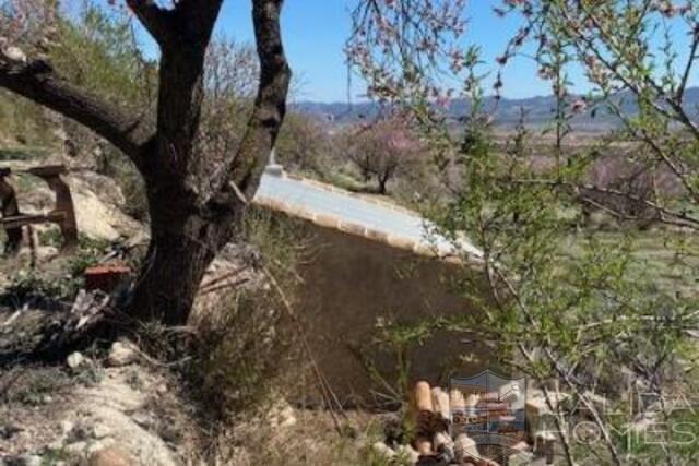 Cortijo Molino : Detached Character House for Sale in Velez-Blanco, Almería