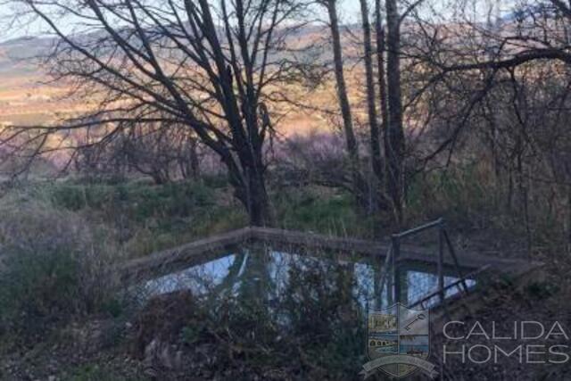 Cortijo Molino : Detached Character House for Sale in Velez-Blanco, Almería