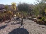 Cortijo Tranquila: Village or Town House for Sale in Cantoria, Almería