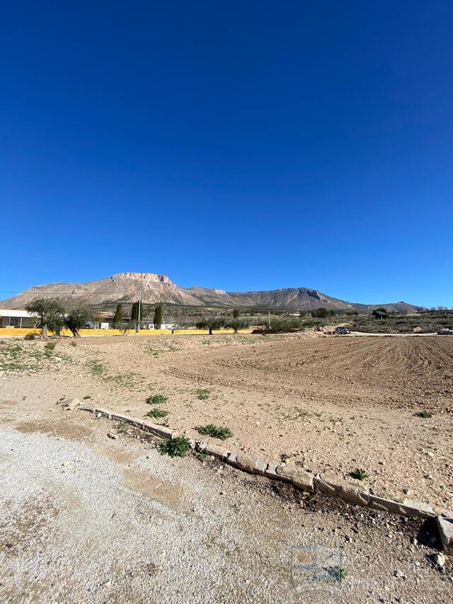 Cortijo Vigas: Detached Character House for Sale in Velez-Rubio, Almería