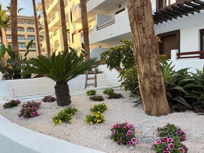 Mar Menor Bliss Golf  Apartments : Apartment in Los Alcazares, Murcia