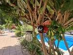 Palmera Dulce: Resale Villa for Sale in Arboleas, Almería