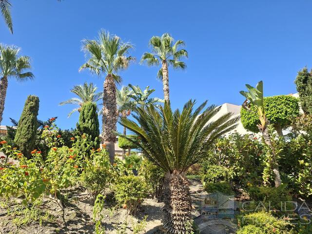 Palmera Golf Duplex: Duplex for Sale in Vera, Almería