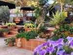 Villa Antas : Resale Villa for Sale in Antas, Almería