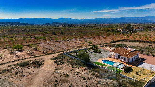 Villa Aster : Resale Villa for Sale in Albox, Almería