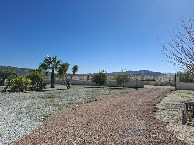 Villa Aster : Resale Villa for Sale in Albox, Almería