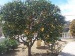 Villa Aurora: Resale Villa in Arboleas, Almería