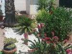 Villa Azalia: Resale Villa in Arboleas, Almería