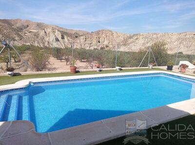 Villa Birch : Resale Villa in Arboleas, Almería