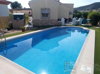 Villa Birch : Resale Villa in Arboleas, Almería