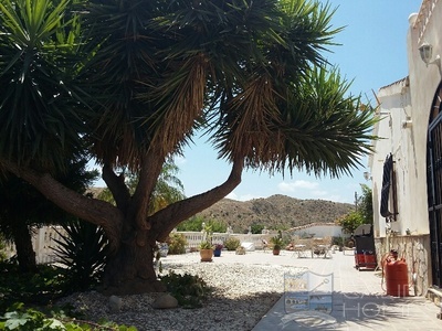 Villa Buena Vista : Resale Villa in Arboleas, Almería