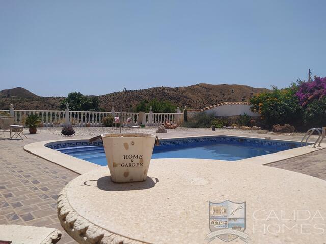 Villa Buena Vista : Resale Villa for Sale in Arboleas, Almería