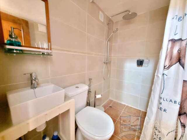Villa Buttercup: Detached Character House for Sale in Albox, Almería